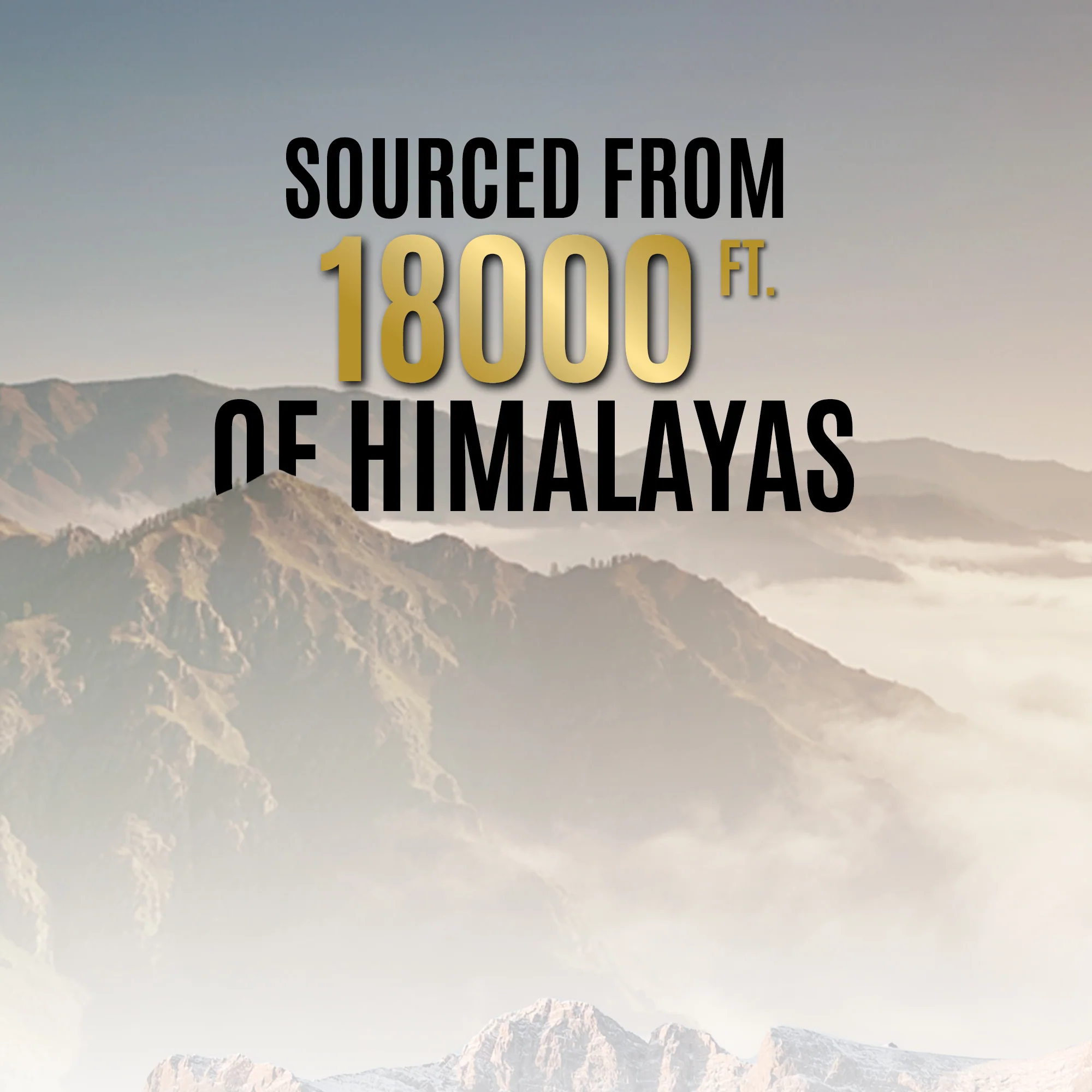 OG Wellness Pure Himalayan Shilajit | Guaranteed 75% Fulvic Acid - 20G - Image 3